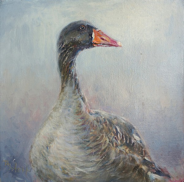 Graue Gans, Öl, 30 x 30 cm