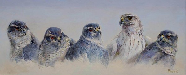 Habichte, Öl, 30 x 90 cm