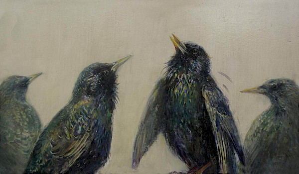 Stare, Acryl, 50 x 80 cm