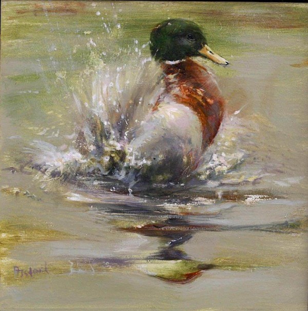 Stockente, Öl, 30 x 30 cm