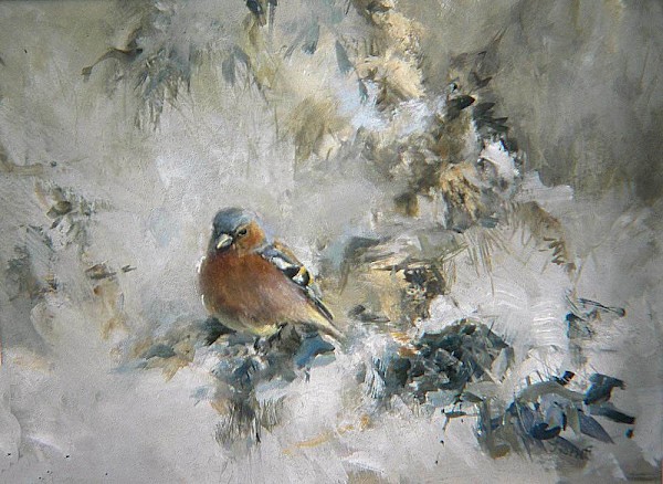 Buchfink, Tempera, 40 x 48 cm