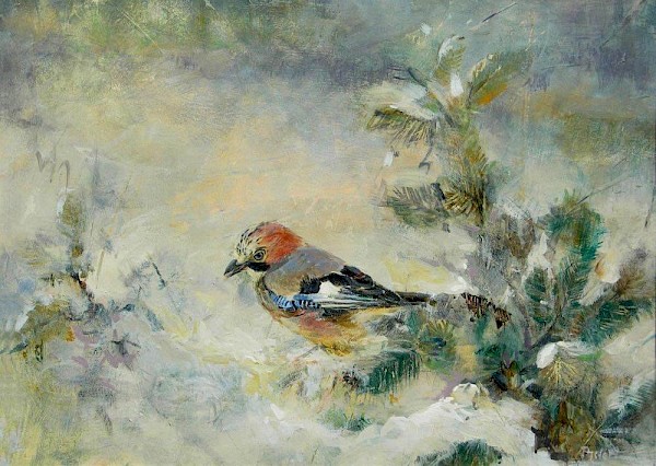 Eichelhaeher, Tempera, 40 x 50 cm