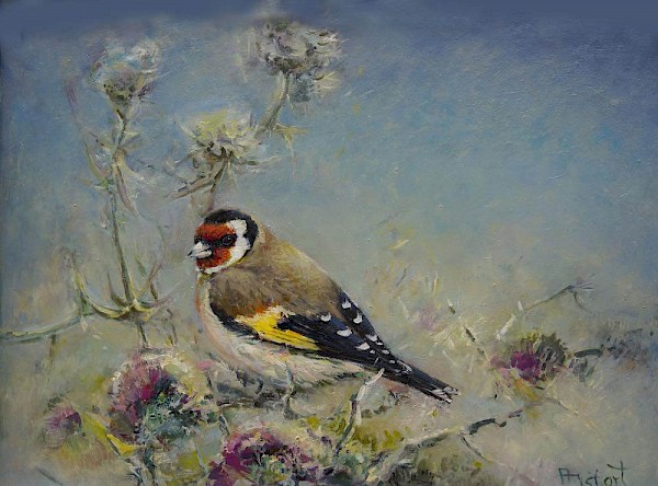 Stieglitz, Öl, 40 x 50 cm