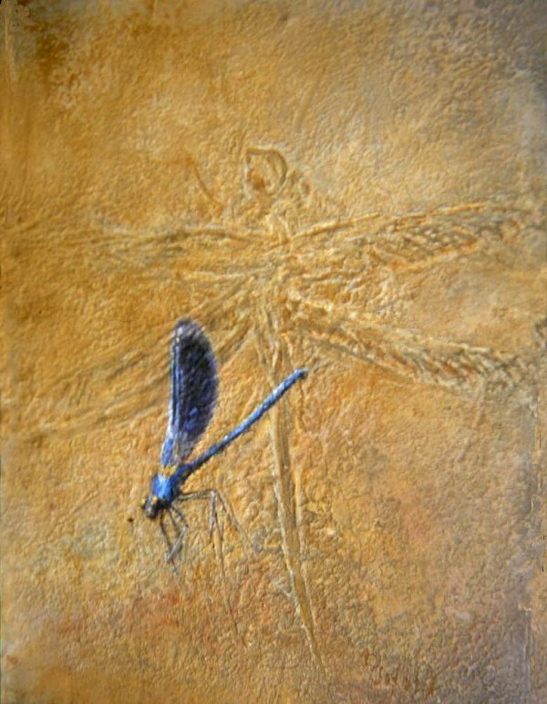 Evolution - Libelle, Mischtechnik, 30 x 35 cm