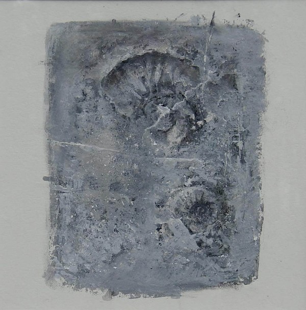 Ammoniten III, Mischtechnik, 50 x 50 cm