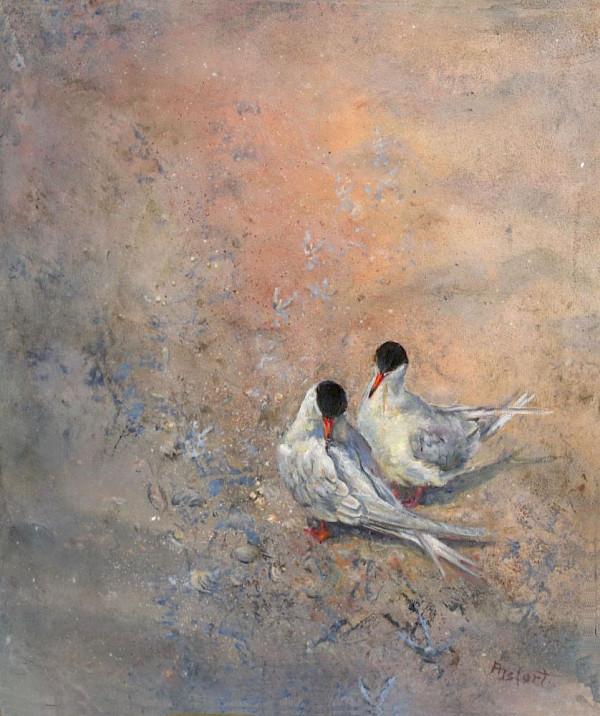 Flussseeschwalben, Mischtechnik, 70 x 60 cm