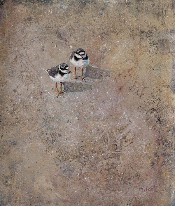 Fossil - charadrius hiaticula, Mischtechnik, 70 x 80 cm