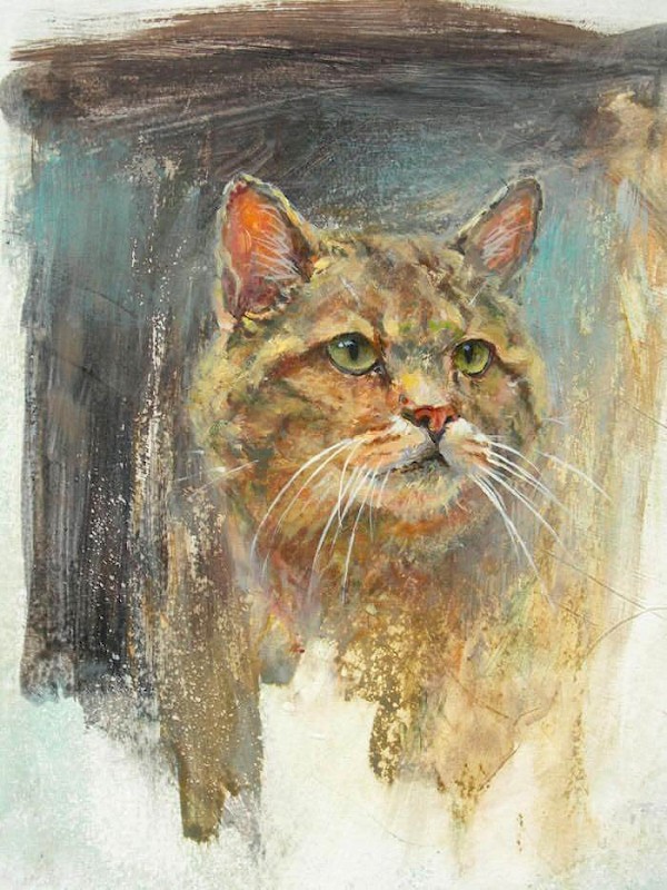 Porträt - Wildkatze, Mischtechnik, 45 x 30 cm